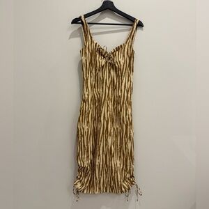 Backyard Roses Dress